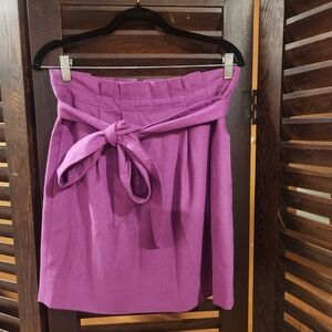 J. Crew Vibrant Purple Skirt